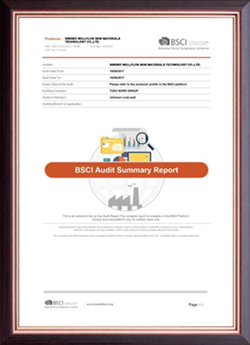 BSCI Certificate
